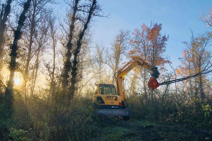 Travaux forestiers Ambérieu-en-Bugey