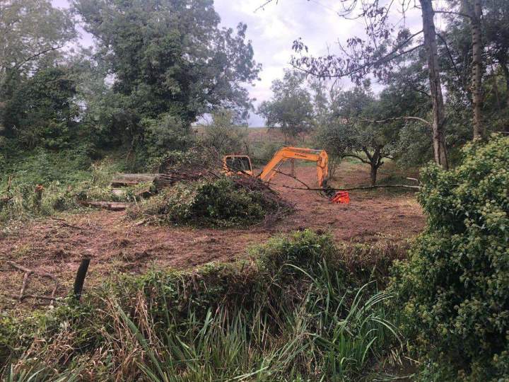 Toute une gamme de prestations en matière de travaux forestiers