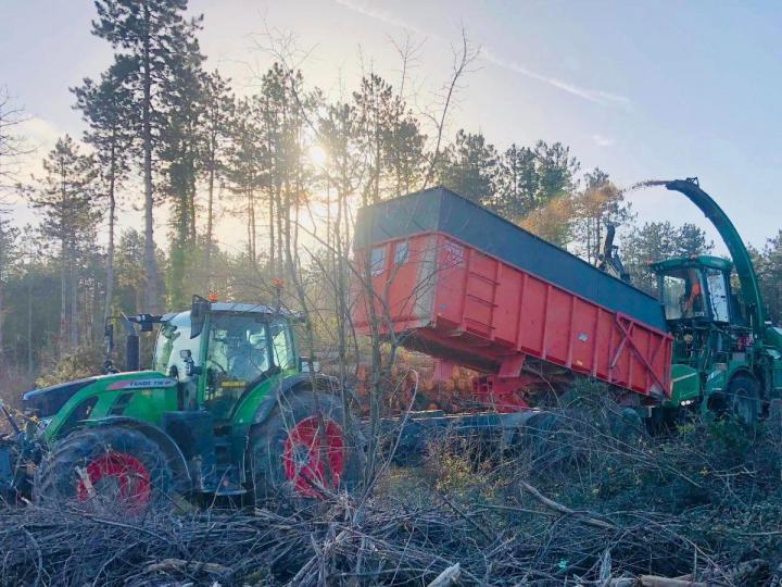 Services d’aménagement extérieur sur mesure adaptés à tous les budgets.